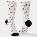 Search for dachshund socks Festive dogs