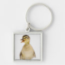 Search for mallard key rings Animal
