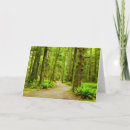 Search for forests cards Rainforest