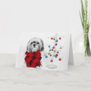 Search for shih tzu christmas cards Colour image