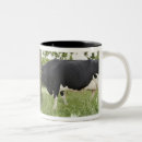 Search for confrontation mugs Nature