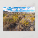 Search for limestone county California