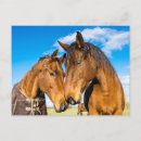 Search for friendship postcards Farm