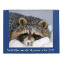 Search for raccoon calendars Wildlife