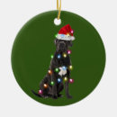 Search for cane corso christmas tree decorations Xmas
