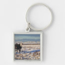 Search for calgary key rings Agriculture