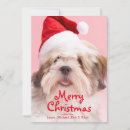 Search for lhasa apso cards Cheerful