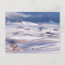 Search for smooth postcards White