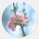Search for apple blossom stickers Tree