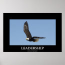 Search for birds of prey posters Bald eagles