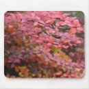 Search for tree picture mousepads Red