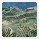 Search for rice field stickers Agricultural