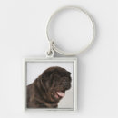 Search for puppy key rings Yawning