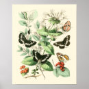 Search for garden posters Nature