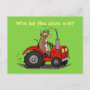 Search for cattle farming postcards Bovine