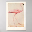 Search for vintage flamingo posters Retro