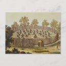 Search for indigenous postcards White