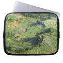 Search for cropped cases Nobody