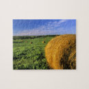 Search for round puzzles Usa