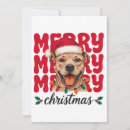 Search for dog christmas invitations Santa