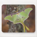 Search for silk mousepads Green