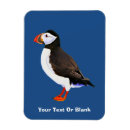 Search for seabird magnets Nature