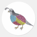 Search for quail stickers Illustration