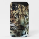 Search for cheetah cat iphone cases Spots