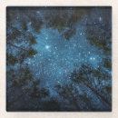 Search for beautiful tree sky coasters Blue