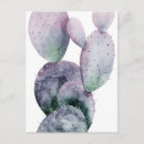 Search for cactus postcards Tropical