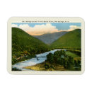 Search for springs magnets Vintage