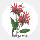 Search for garden herbs stickers Flower