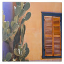 Search for southwestern tiles Blue