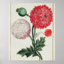 Search for 18th century posters Flowers