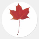 Search for red maple stickers Patriotic