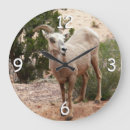 Search for funny sheep art Wildlife