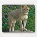 Search for regal electronics Lion
