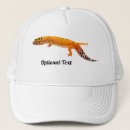 Search for lizards hats Animal