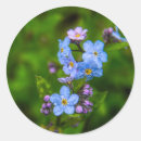 Search for forgetful stickers Blue