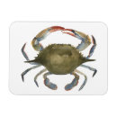 Search for crabbing magnets Crabs