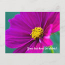 Search for happy birthday daisy flower postcards Nature