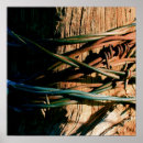 Search for barbed wire posters Country