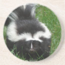 Search for skunks coasters Wildlife