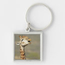 Search for african animal key rings Animals in the wild