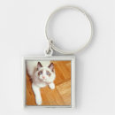 Search for ragdoll key rings Blue eyes
