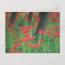 Search for clusters postcards Floral