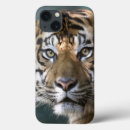 Search for panthera cases Captive