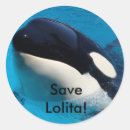 Search for save the orcas stickers Whale