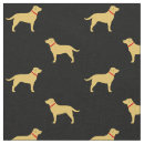 Search for labrador retriever fabric Dog