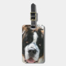 Search for saint bernard gifts Animals